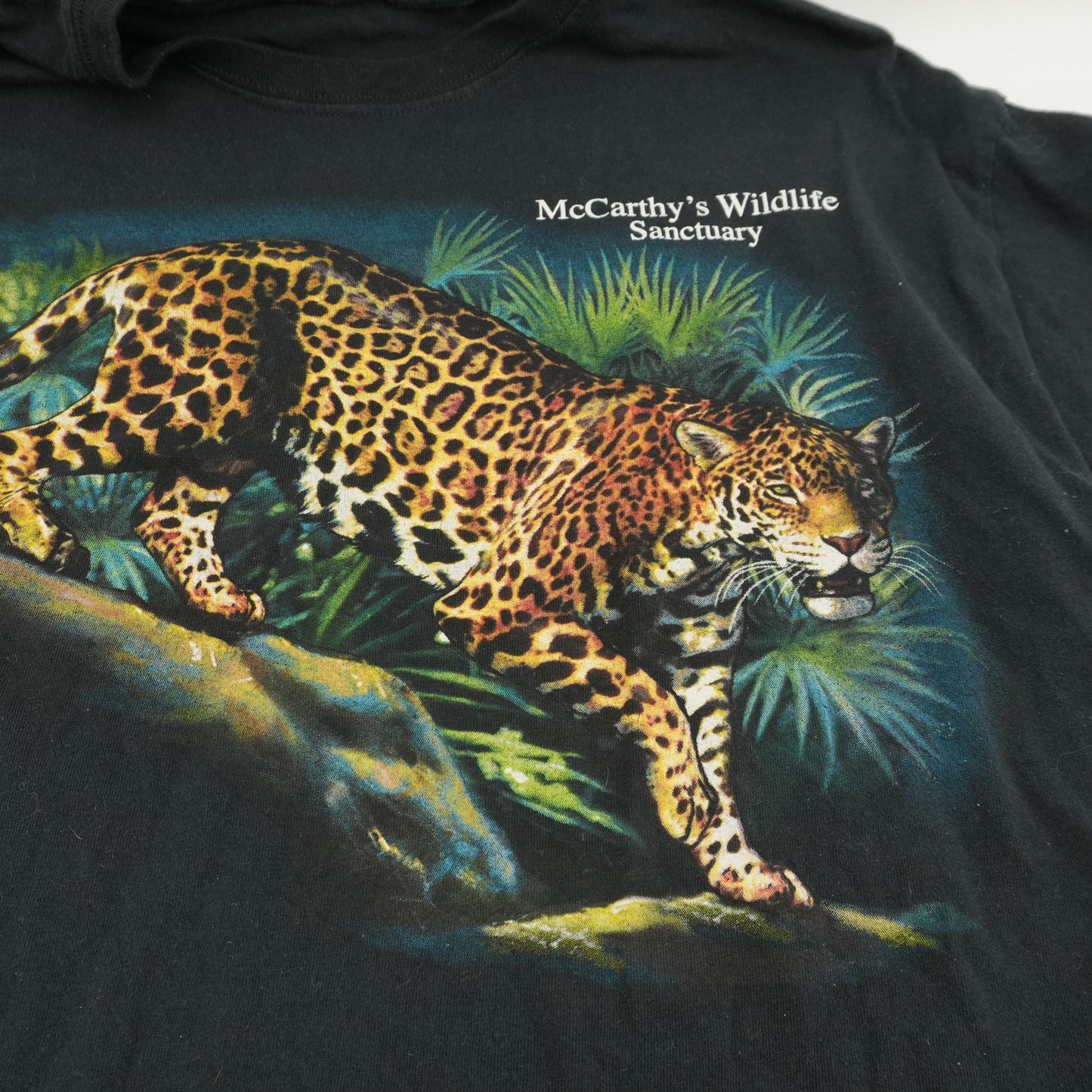 Vintage Band Tshirts Black Cotton 90s to Y2K Graphic Print Tees Unisex All Size S-XL