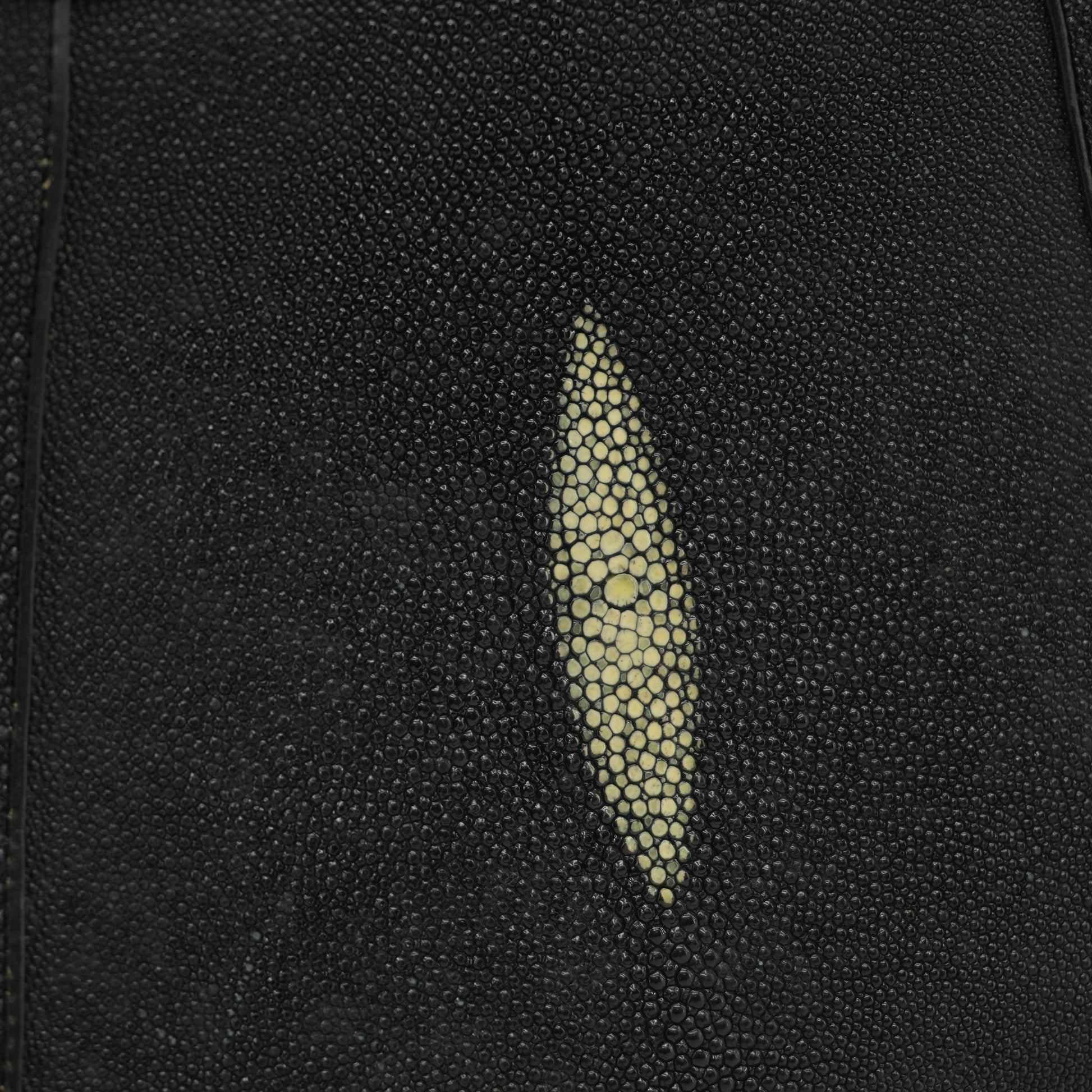 large-purse-black-exotic-stingray-leather-shoulder-bag-11.jpg