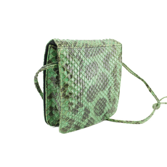 greensnakeprintclutch.jpg