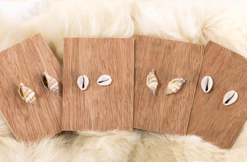 Shell Earrings Mermaid Cowrie Seashell Studs Ocean Beach Shell Post Earrings