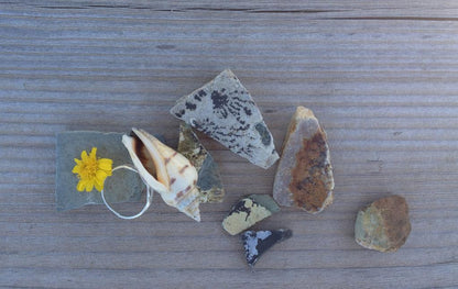 Seashell Ring Ocean Beach Shell Mermaid Statement Adjustable Ring