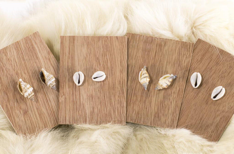 Seashell Earrings Mermaid Cowrie Ocean Shell Cowry Post Earrings